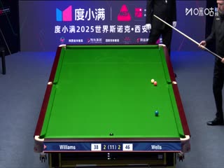 2025斯诺克西安大奖赛半决赛 威廉姆斯6-3丹尼尔-威尔斯（朱蒙） 20251012