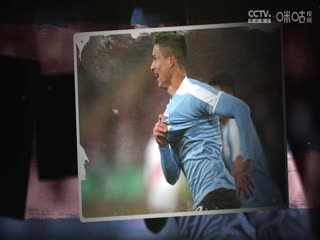 英超联赛 布莱顿VS阿斯顿维拉 20250403