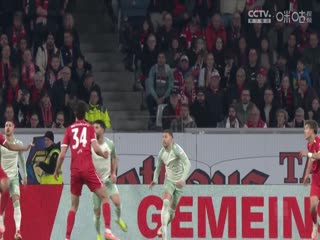 德甲联赛 美因茨VS沃尔夫斯堡 20250419