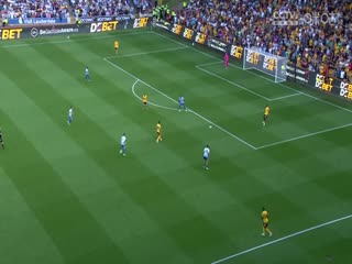 英超联赛 狼队VS布莱顿 20250510