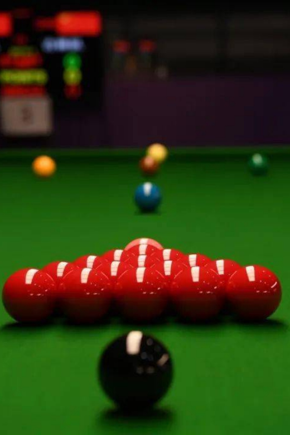 克里斯·沃克林VS马修·塞尔特 2025苏格兰公开赛