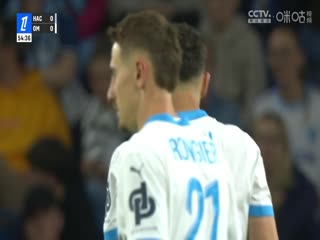 法甲联赛 勒阿弗尔VS马赛 20250511