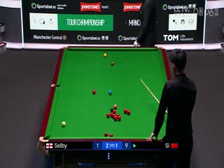 斯诺克巡回锦标赛12进8 马克·塞尔比6-2斯佳辉（第一阶段） 20250402