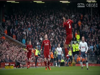 英超联赛 诺丁汉森林VS布伦特福德 20250502